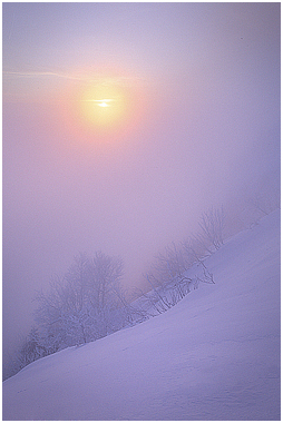 Vosges en hiver